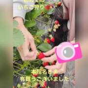 ヒメ日記 2026/07/02 01:19 投稿 おぼろ 西船人妻花壇