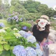 ヒメ日記 2026/07/13 09:28 投稿 おぼろ 西船人妻花壇