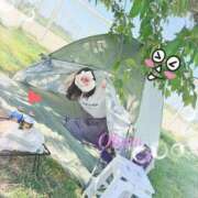 ヒメ日記 2026/08/06 17:25 投稿 おぼろ 西船人妻花壇