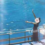ヒメ日記 2026/08/07 18:36 投稿 おぼろ 西船人妻花壇