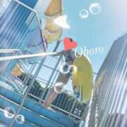 ヒメ日記 2026/08/07 23:13 投稿 おぼろ 西船人妻花壇