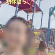 ヒメ日記 2026/08/09 23:15 投稿 おぼろ 西船人妻花壇
