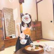 ヒメ日記 2026/08/13 22:12 投稿 おぼろ 西船人妻花壇