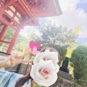 ヒメ日記 2026/08/14 12:32 投稿 おぼろ 西船人妻花壇