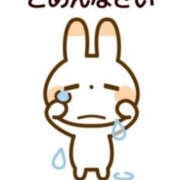 ヒメ日記 2025/03/19 08:42 投稿 せりな 西船人妻花壇