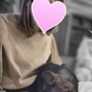 ヒメ日記 2026/01/17 07:59 投稿 せりな 西船人妻花壇