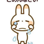 ヒメ日記 2026/04/01 08:47 投稿 せりな 西船人妻花壇