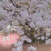 ヒメ日記 2025/04/07 20:17 投稿 いく 西船人妻花壇