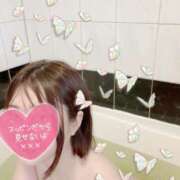 ヒメ日記 2025/10/20 15:04 投稿 くらん 西船人妻花壇