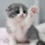 ヒメ日記 2025/11/28 21:31 投稿 くらん 西船人妻花壇