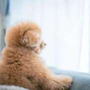 ヒメ日記 2025/12/10 14:10 投稿 くらん 西船人妻花壇