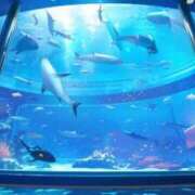 ヒメ日記 2025/12/20 17:36 投稿 くらん 西船人妻花壇