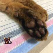 ヒメ日記 2025/02/22 23:00 投稿 さら 西船人妻花壇