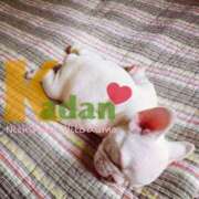 ヒメ日記 2025/05/20 17:01 投稿 ゆうり 西船人妻花壇