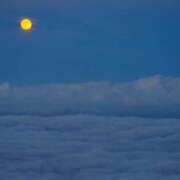 ヒメ日記 2025/03/04 17:53 投稿 ゆうき 西船人妻花壇