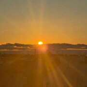 ヒメ日記 2026/01/22 11:28 投稿 ゆうき 西船人妻花壇