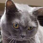 ヒメ日記 2026/01/23 10:35 投稿 ゆうき 西船人妻花壇