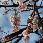 ヒメ日記 2026/03/23 16:52 投稿 ゆうき 西船人妻花壇