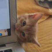 ヒメ日記 2025/03/17 07:36 投稿 かぐや 西船人妻花壇