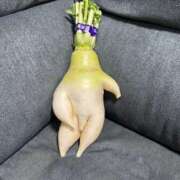 ヒメ日記 2025/04/02 16:14 投稿 かぐや 西船人妻花壇