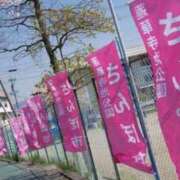 ヒメ日記 2025/04/14 21:03 投稿 かぐや 西船人妻花壇