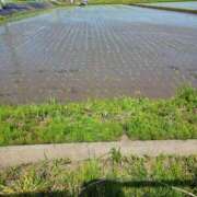 ヒメ日記 2025/04/22 20:22 投稿 かぐや 西船人妻花壇