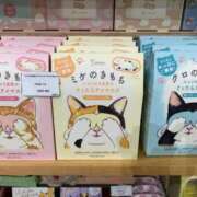 ヒメ日記 2024/12/11 17:25 投稿 るい 西船人妻花壇