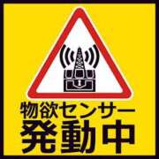 ヒメ日記 2025/01/04 12:30 投稿 るい 西船人妻花壇