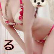 ヒメ日記 2025/01/25 10:19 投稿 るい 西船人妻花壇