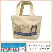 ヒメ日記 2025/03/13 19:45 投稿 るい 西船人妻花壇
