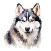 ヒメ日記 2025/04/04 01:03 投稿 るい 西船人妻花壇