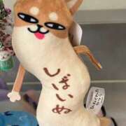 ヒメ日記 2025/06/25 22:47 投稿 るい 西船人妻花壇