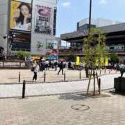 ヒメ日記 2025/07/03 23:08 投稿 るい 西船人妻花壇