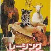 ヒメ日記 2025/08/29 03:47 投稿 るい 西船人妻花壇
