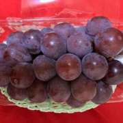 ヒメ日記 2025/09/13 18:48 投稿 るい 西船人妻花壇