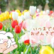 ヒメ日記 2025/02/27 16:27 投稿 にぃな 西船人妻花壇