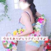 ヒメ日記 2025/04/07 01:12 投稿 にぃな 西船人妻花壇