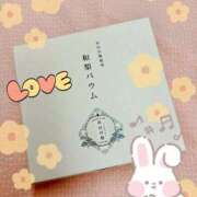 ヒメ日記 2025/04/27 15:37 投稿 にぃな 西船人妻花壇