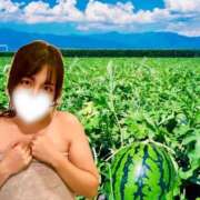 ヒメ日記 2025/06/23 11:01 投稿 にぃな 西船人妻花壇