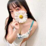 ヒメ日記 2025/08/26 16:31 投稿 にぃな 西船人妻花壇