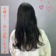 ヒメ日記 2025/11/16 22:29 投稿 にぃな 西船人妻花壇