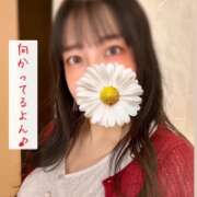 ヒメ日記 2025/11/18 16:25 投稿 にぃな 西船人妻花壇