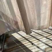 ヒメ日記 2024/12/10 10:35 投稿 べに 西船人妻花壇