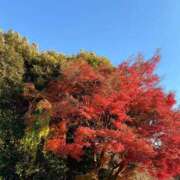 ヒメ日記 2024/12/16 19:32 投稿 べに 西船人妻花壇