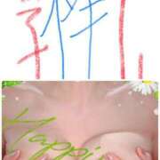 ヒメ日記 2024/12/22 12:09 投稿 べに 西船人妻花壇