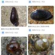 ヒメ日記 2025/01/17 10:06 投稿 べに 西船人妻花壇