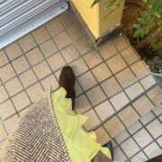 ヒメ日記 2025/03/02 05:00 投稿 べに 西船人妻花壇