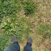 ヒメ日記 2025/03/27 13:01 投稿 べに 西船人妻花壇