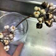 ヒメ日記 2025/12/06 16:38 投稿 べに 西船人妻花壇