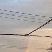 ヒメ日記 2025/12/21 16:31 投稿 べに 西船人妻花壇